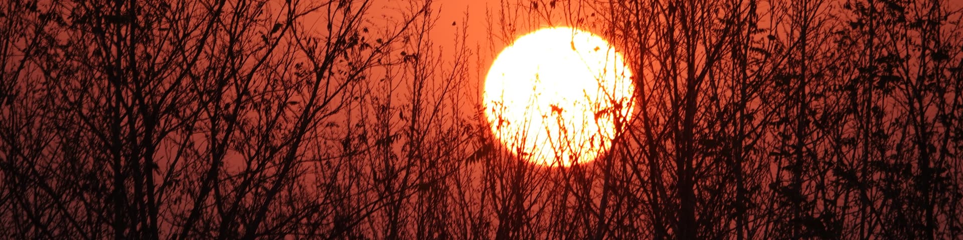 夕阳