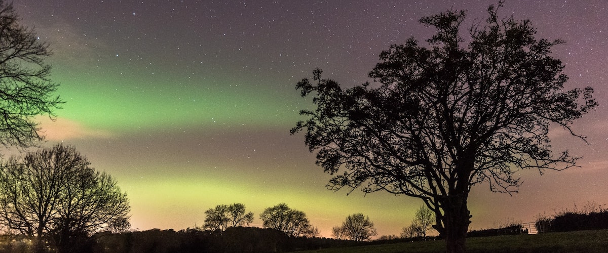 #BvSAstro
I was lucky enough to catch the Aurora putting on an awesome display in the fields behind our house. The tree is a traditional Fairy Tree that has been here since before my grandparents time and woe betide anyone who causes harm to the Fairy Tree! Folklore predicts a sad end to that person.