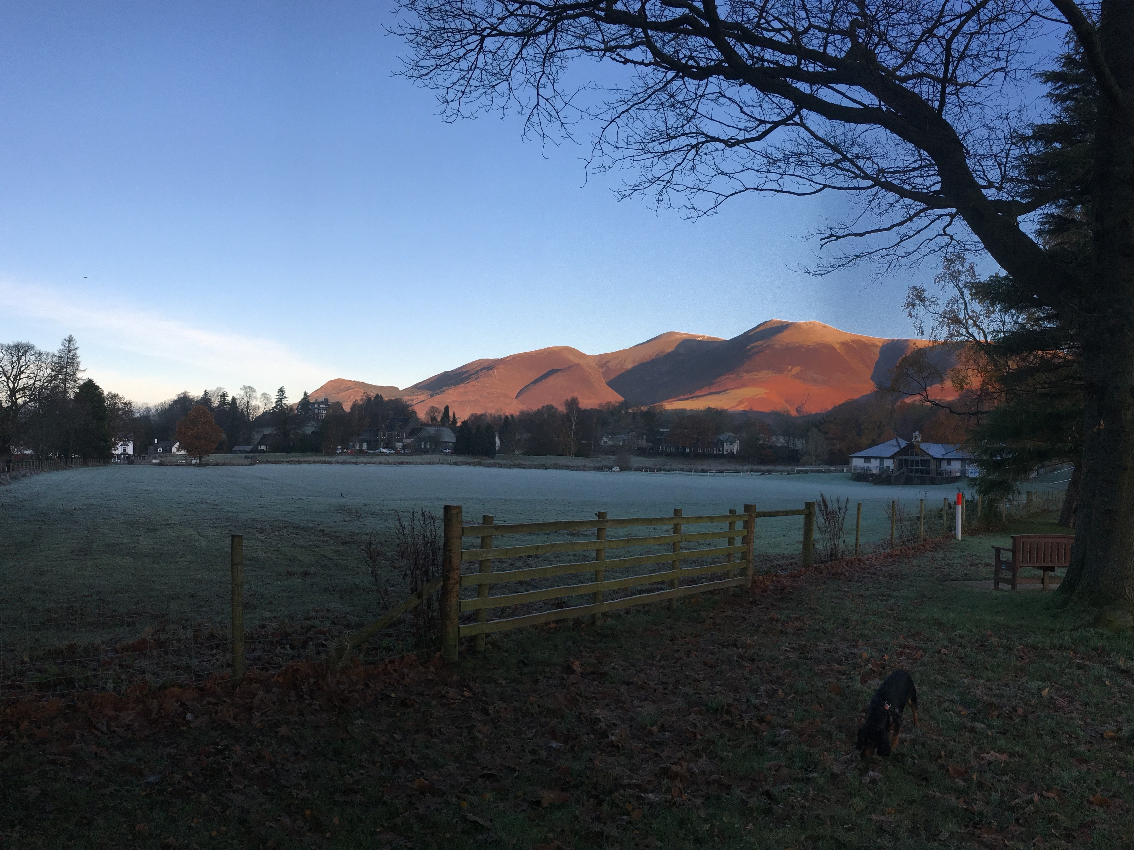 Frosty fields this morning
Brrrrr...