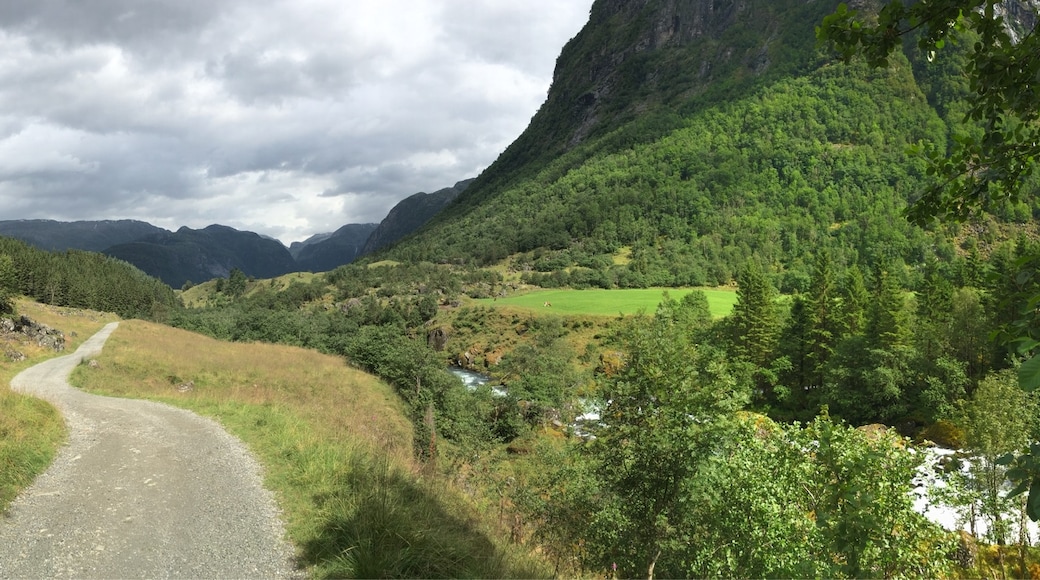 Folgefonna nasjonalpark, Etne, Vestland, Norge