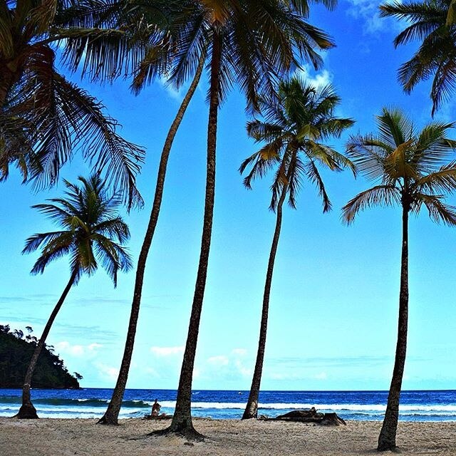 Maracas Beach Vacation Rentals house rentals & more Vrbo