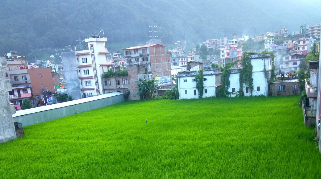 Tarakeshwar, Bagmati, Nepal