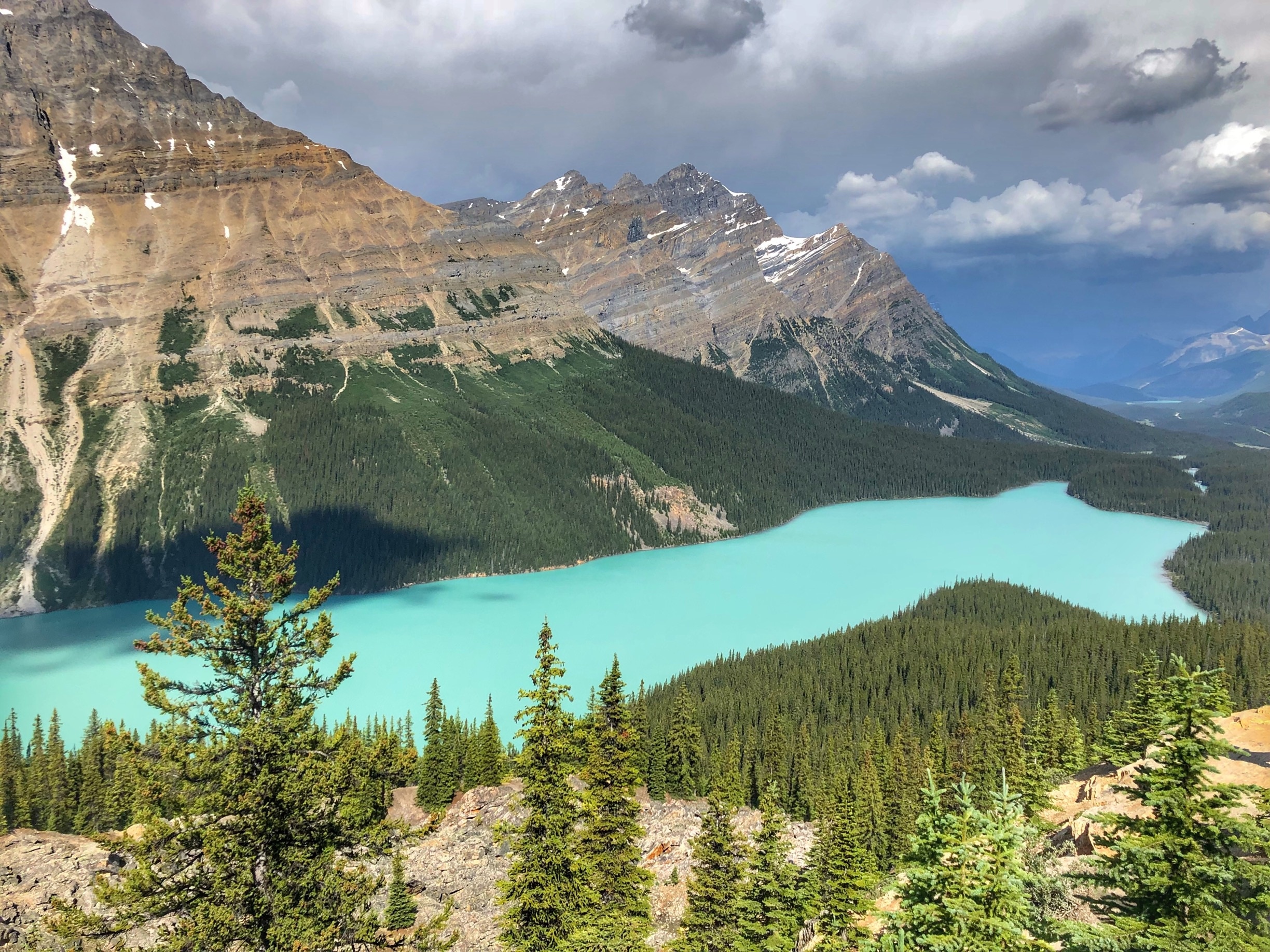 Ferienwohnung Peyto Lake Und Mehr Vrbo