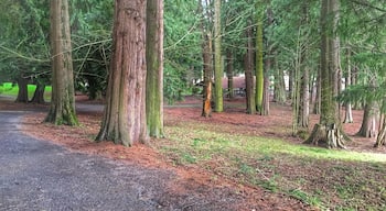 Nice little park in the middle of Vancouver, WA. The switchbacks up the hill, surrounded by tall trees will make you feel like you're a lot further from town. It was a nice, quiet place to stretch my dogs legs for a bit and eat my lunch from nearby Panera Bread.