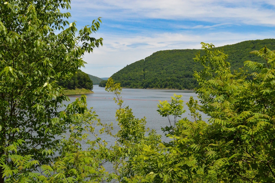 Early summer at Kinzua