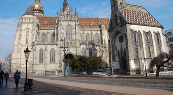 The St. Elisabeth Cathedral can be found on main street in Košice. Construction began in the 14th century, and has seen many additions and renovations over the years. Today, it is the largest church in Slovakia, and a fine example of Gothic architecture.

#architecture
