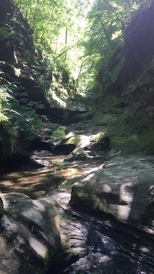Who needs a trail when you can climb this?!
#TakeAHike