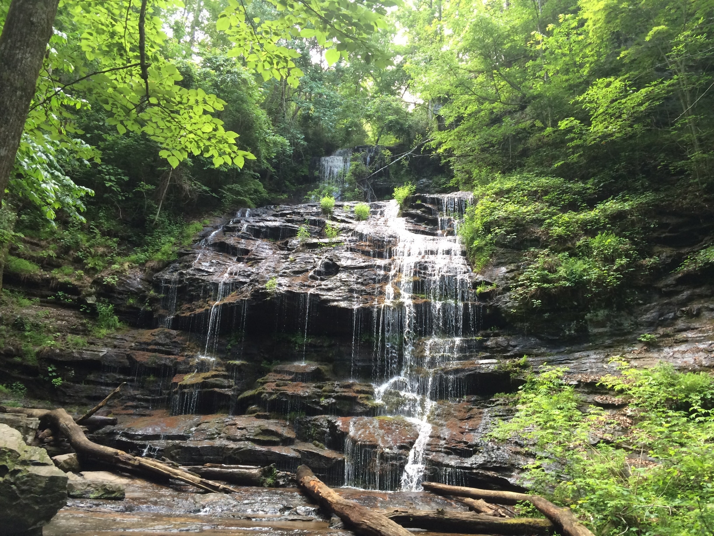 Station Cove Falls is at the end of an easy hike, known as Oconee Station.
