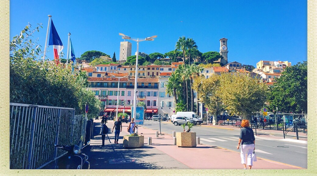 Rue d'Antibes, Cannes, Alpes-Maritimes, France