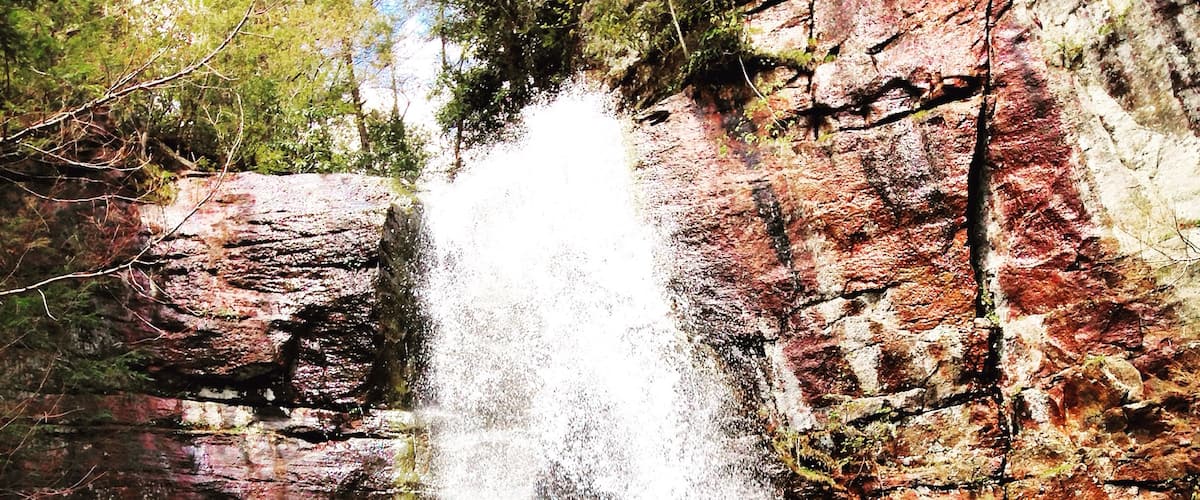 Bad branch fall; pine mountain!