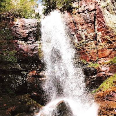 Bad branch fall; pine mountain!