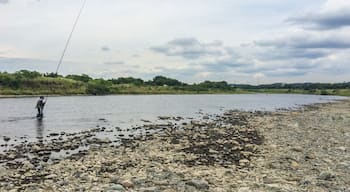 Sagami River near Zama, Kanagawa Prefecture, Japan. There are trails, parks, and fields along the river where the city holds annual festivals like the Zama Sunflower Festival and the Kite Festival. 
#Japan #SagamiRiver #Fishing