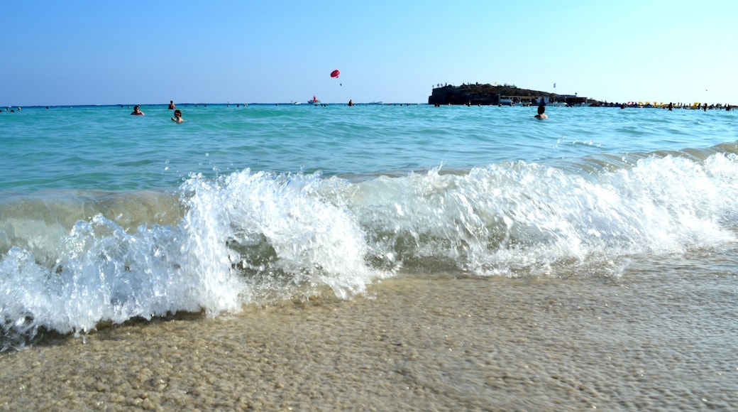 Nissi Plajı, Ayia Napa, Kıbrıs