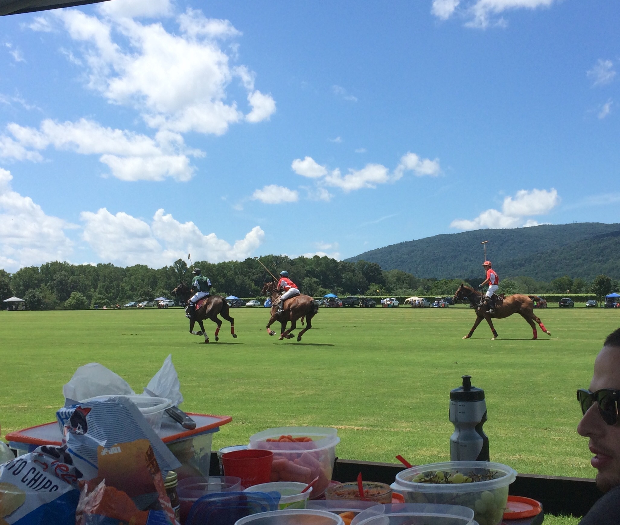 One of the Charlottesville area vineyards has free polo matches every Sunday in the summer. Everyone brings food, a tent, buys some wine and enjoys the match! #EndlessSummer