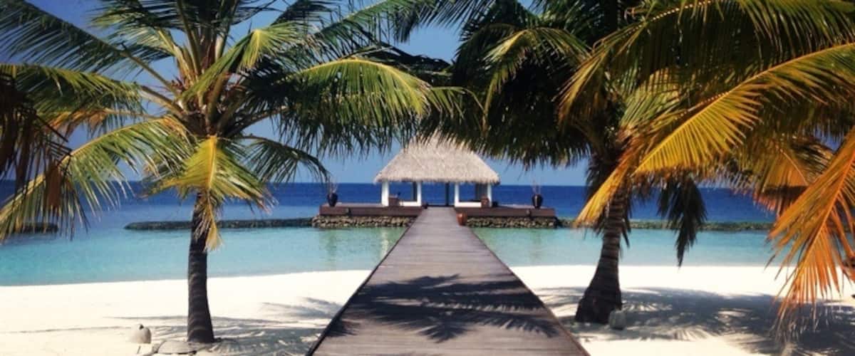 #paradise #island #maldives #sea #sun #holiday #beach #shadows #perfection #tropical #palmtree