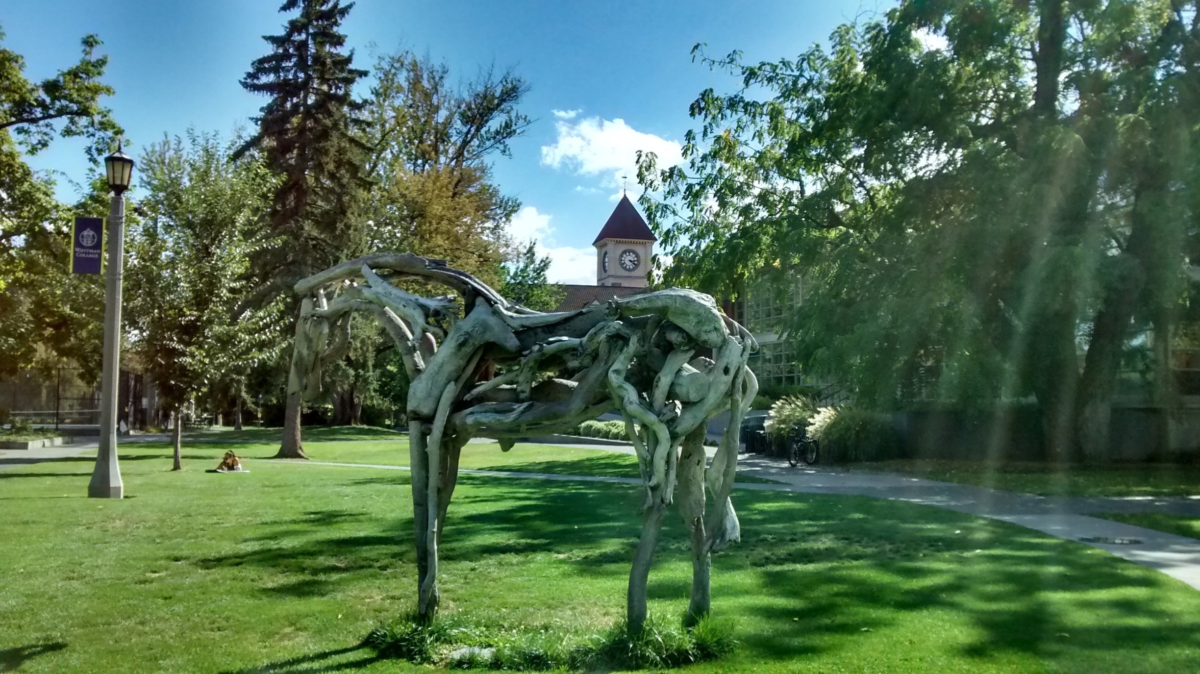 Driftwood Horse near Whitman College's Penrose Library
