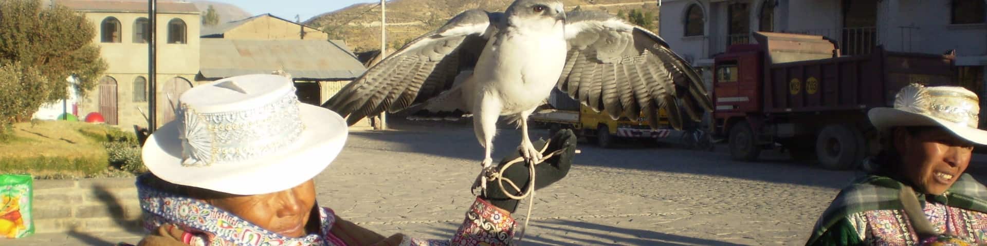 This tiny town, Yanque, is a stop in our way to the Colca Canyon. At the plaza, women brightly dressed exhibit her birds and llamas, and offer to take a photo.