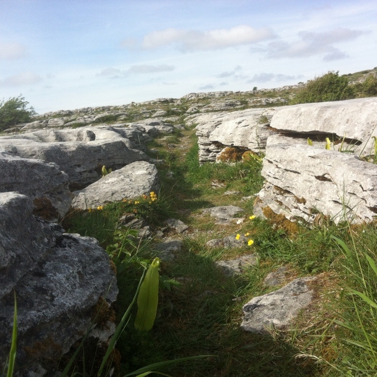 Burren National Park. This is part of the limestone rock that surrounds the Poulnabrone Dolmen