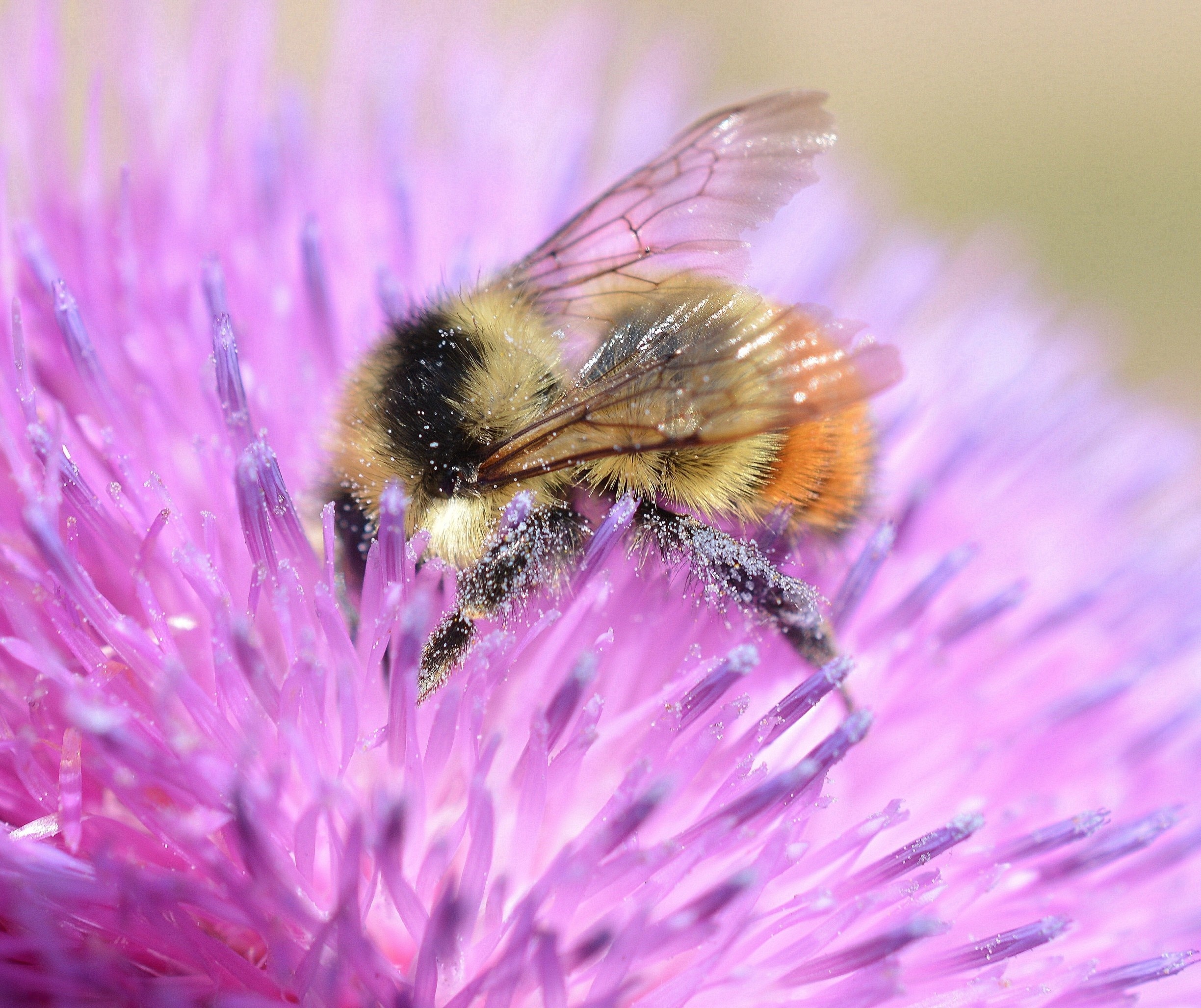 Photo by There & Back Again