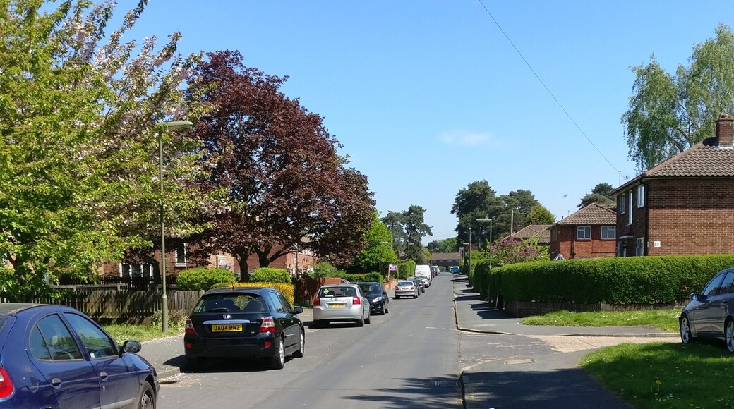 Photo de Ovais Sharar