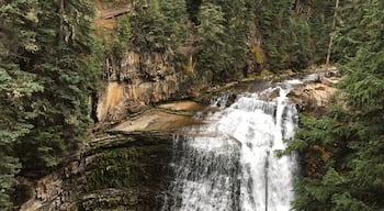 Ousel Falls Park Trail is a 1.6 mile lightly trafficked out and back trail located near Gallatin Gateway, MT that features a waterfall and is good for all skill levels. 