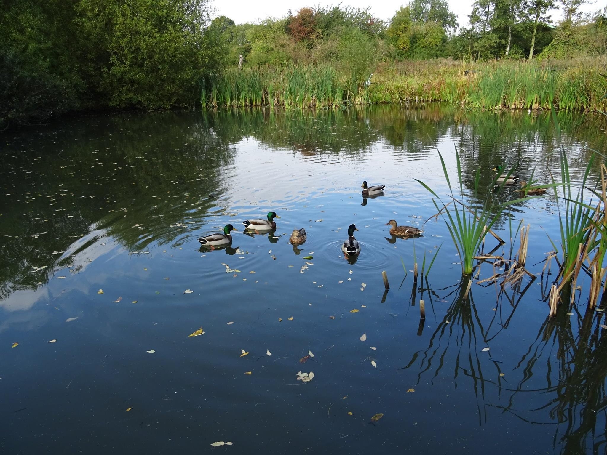 Visit Castleford 2021 Travel Guide for Castleford, England Expedia