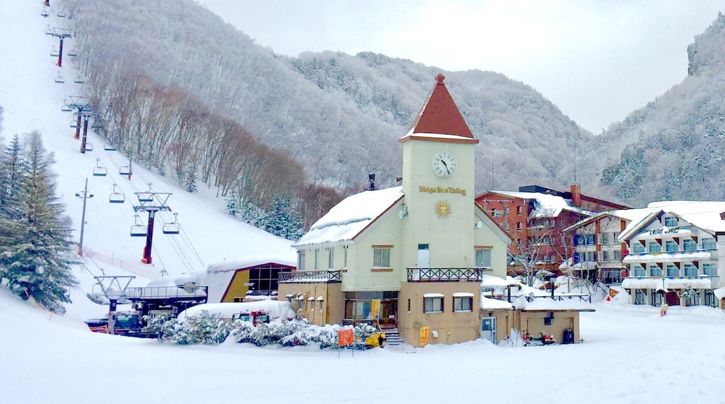 蓮池滑雪場, 山內, 長野縣, 日本