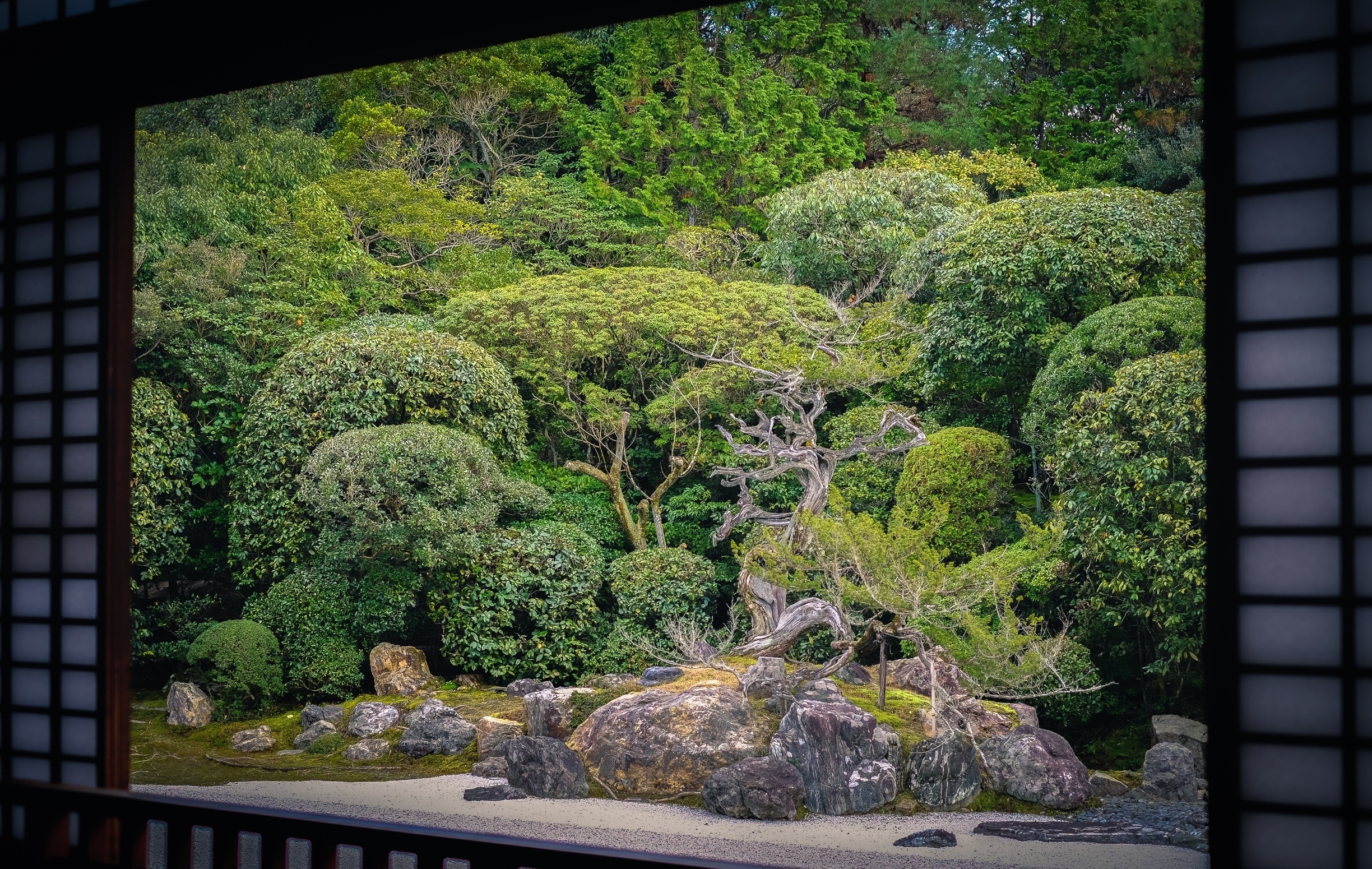 Like a painting ! #bvsjapan #TroveOnTuesday