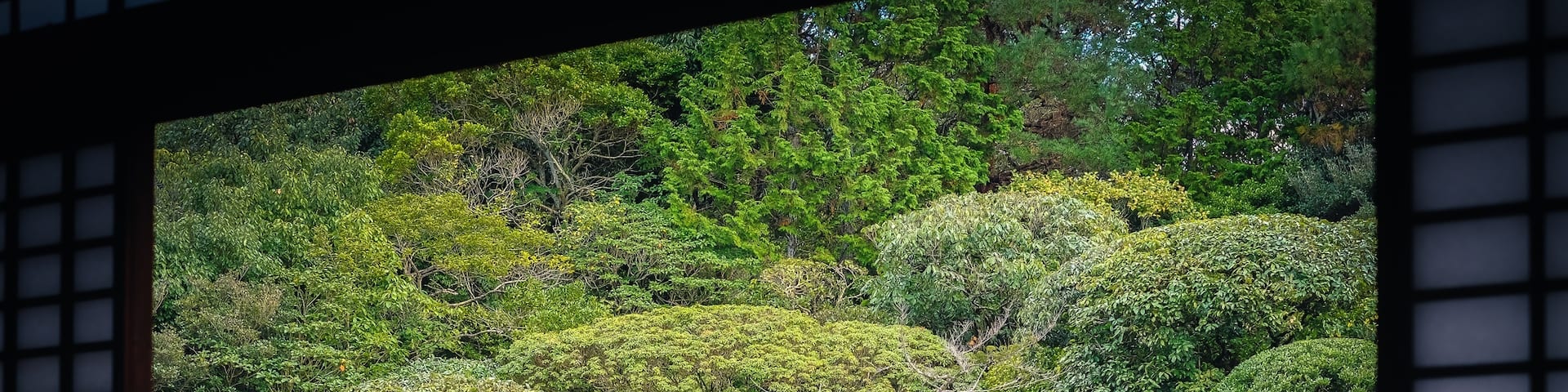 Like a painting ! #bvsjapan #TroveOnTuesday