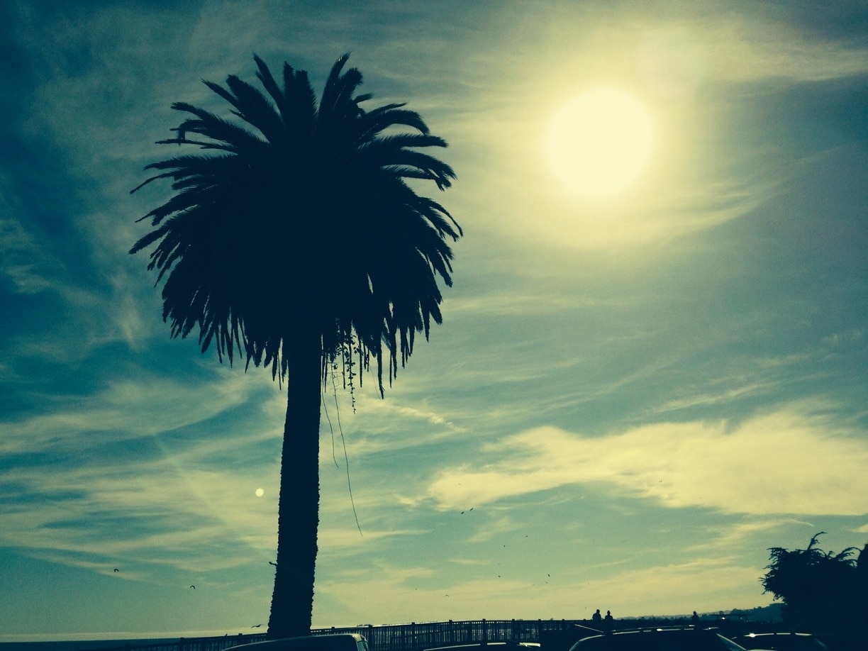 Foto av PollitoAventurero