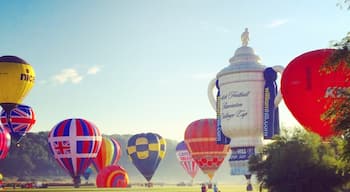 Where a load of the balloons from the 36th annual Bristol Balloon Fiesta landed on a very calm Saturday morning, 7am, 9th August 2014. 3 hours later and the remnants of Hurricane Bertha hit our shores! 