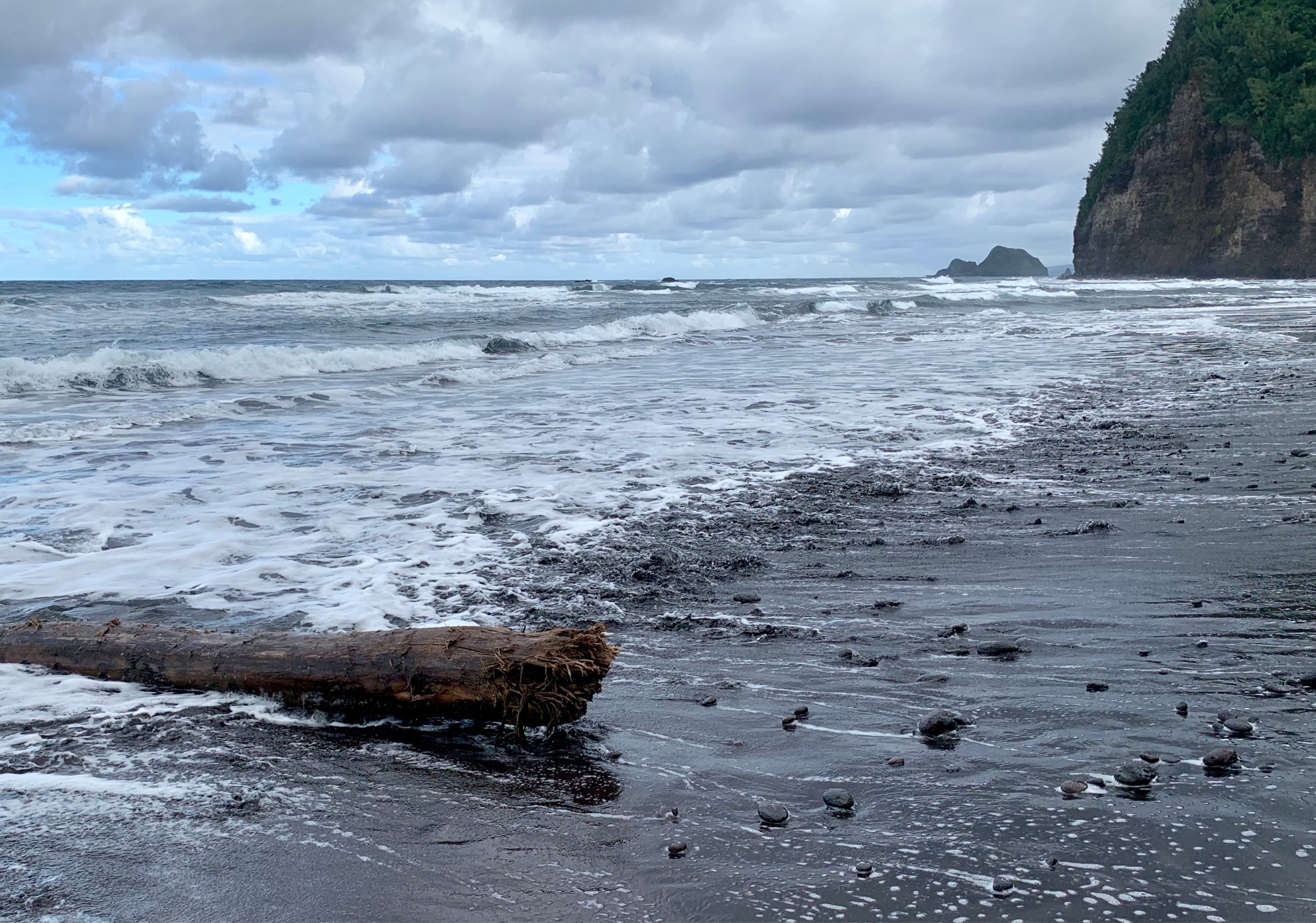 Beautiful black sand beach at the end of the Pololu Valley trail. There’s a slippery walk down to the valley from the overlook area... maybe 3/4 of a mile. Nice views on the way down, ending where the river meets the sea. 
#BeachBound #Hiking #BigIsland #Hawaii #Blue