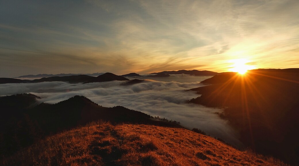 Photo by Jan Topex