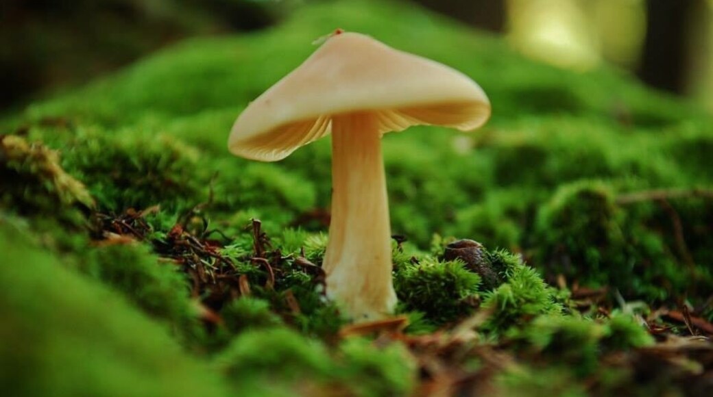Foto oleh Dawn Sanders