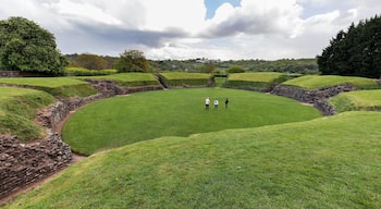 Well-preserved oval mound that once hosted gladiatorial combat and military processions. This amphitheater was built for the Roman forces at Isca around AD 90 and would have seated around 6000 spectators!