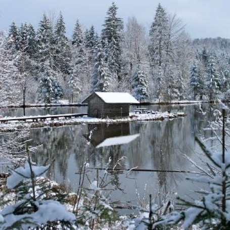 The Hackensee near Diemtramszell in Bavaria has that "WOW" factor in winter! It makes for a nice easy flat walk. It's also pretty in summer, but you don't want to swim there - too many aquatic plants!