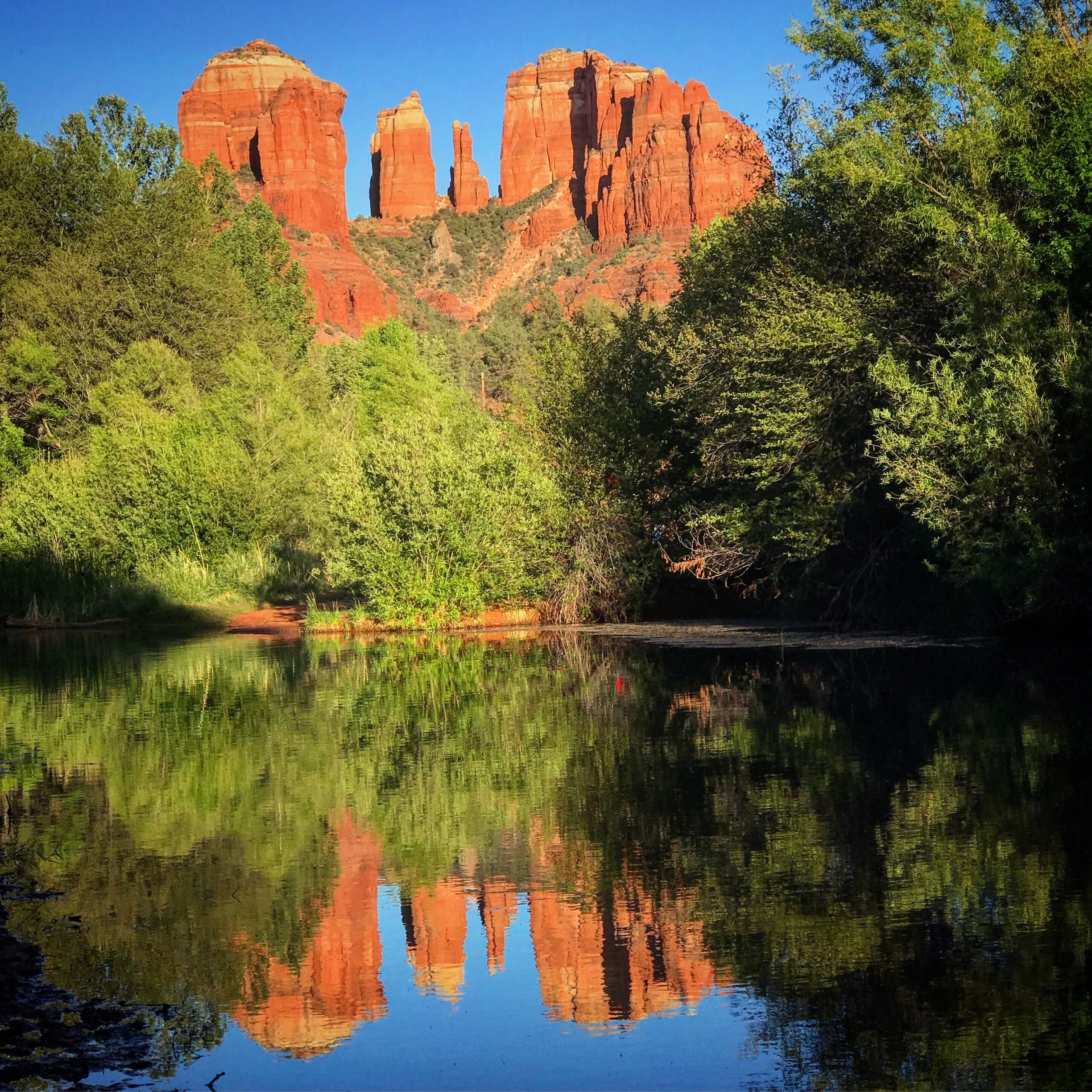Cathedral Rock is probably Sedona’s most photographed spot - you can see why. 