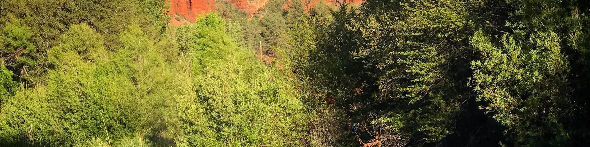 Cathedral Rock is probably Sedona’s most photographed spot - you can see why.