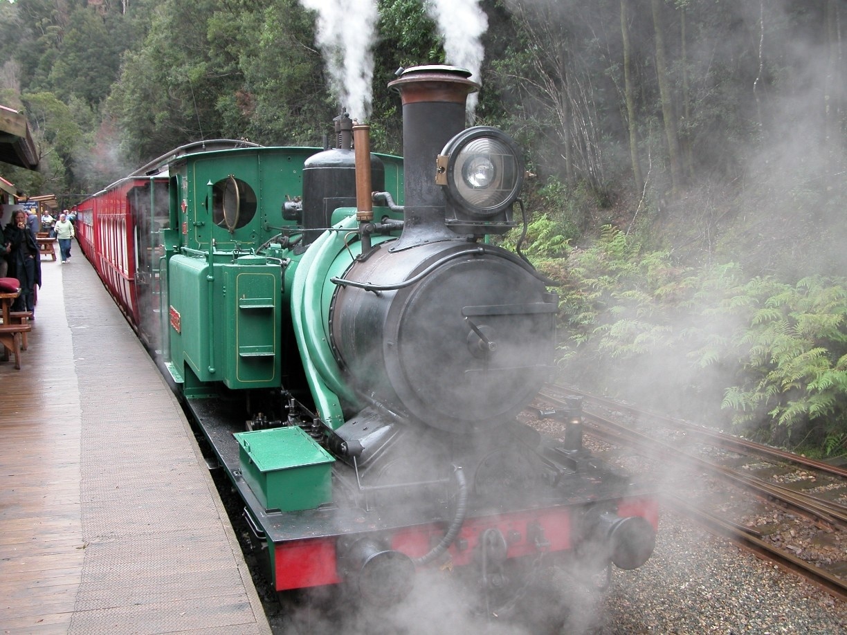 Pristine forest with old steam train!