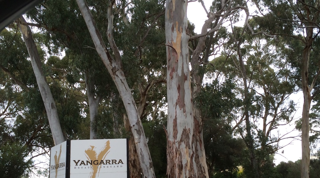 Kangarilla, South Australia, Australien