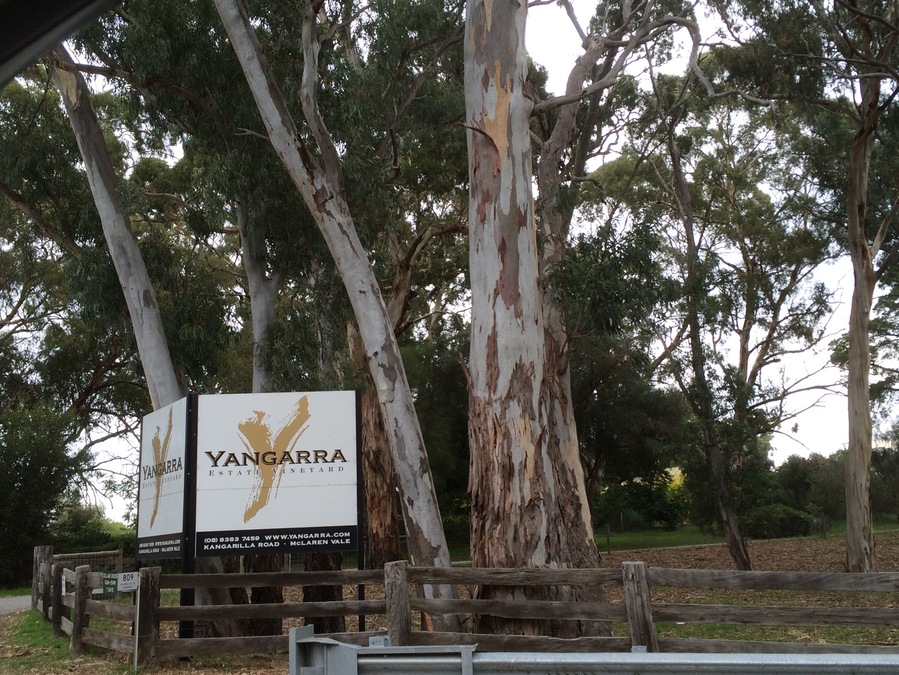 Aussie wine maker of the year. Definitely recommend, great wines, friendly staff, relaxing country atmosphere.