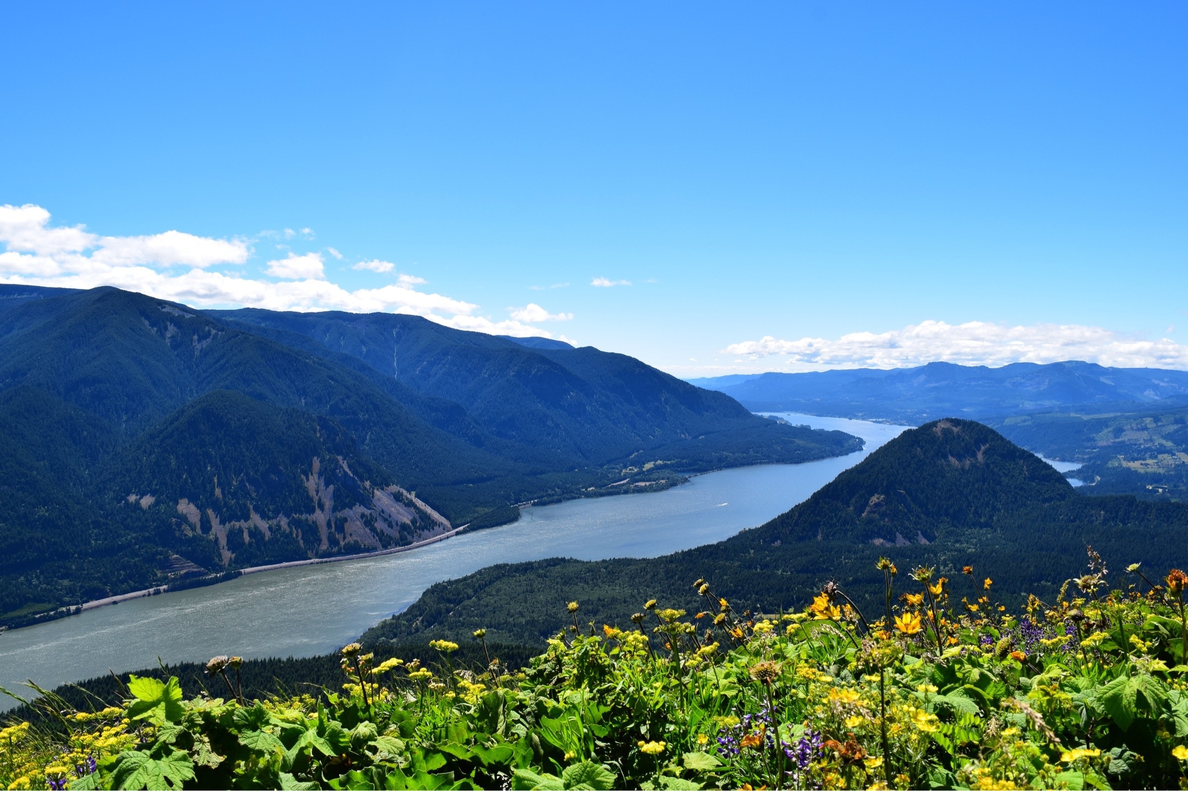 One of the most beautiful hikes I've ever been to. A 6-mi loop trail takes you to the top of the mountain opening up the views to magnificent Columbia river gorge.
#hiking