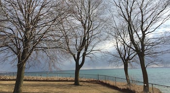 Went for a drive 60-70 km from Toronto towards east and found this gem .. there are swings too!!!