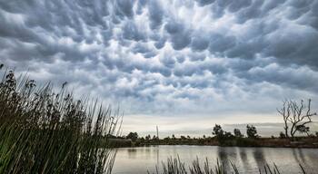 Awesome mammatus clouds over the lake at Armstrong Creek Geelong. 