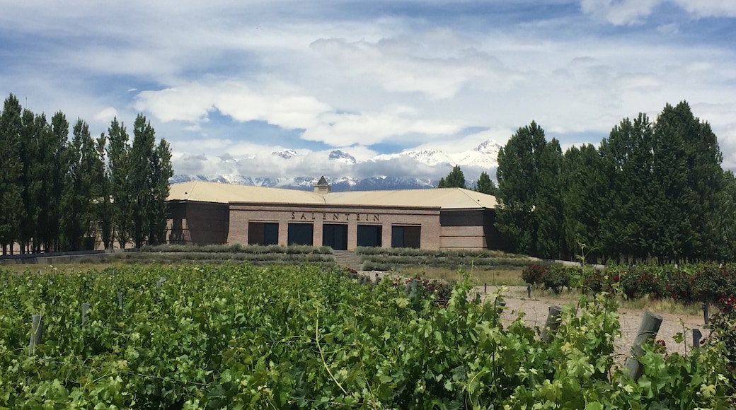 Xưởng rượu vang Salentein, Los Arboles, Mendoza (tỉnh), Argentina