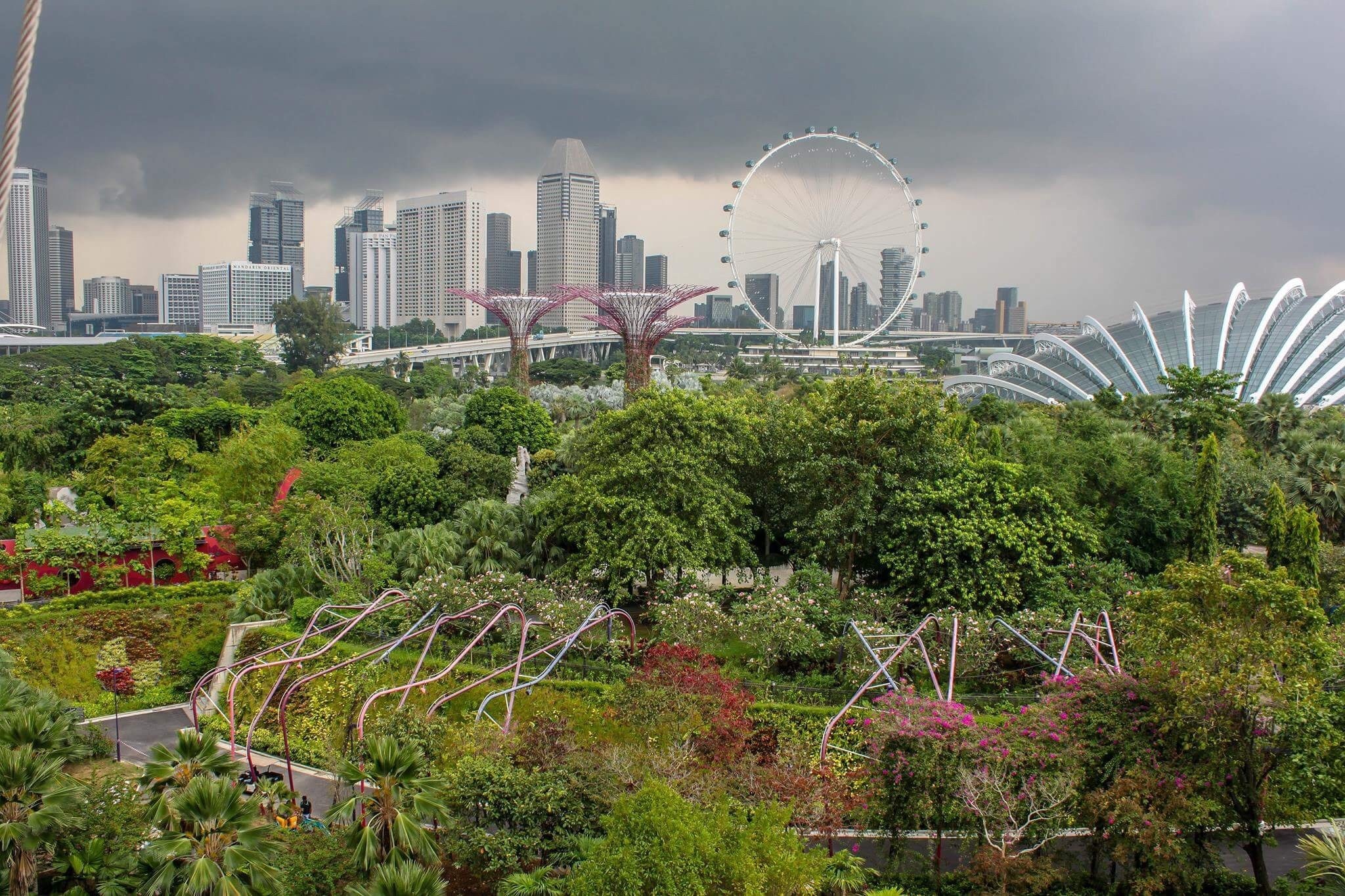 The beautiful view from the OCBC Skyway, which allows you to walk high up among the Supergrove trees. #singapore 