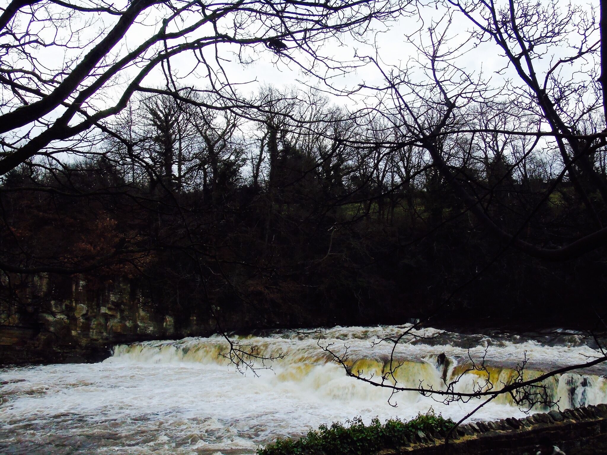 Foto tomada por Liz Lagilagi