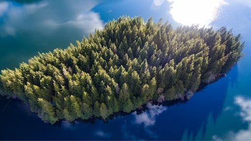 Photo by Josh Steele