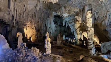 Explore some of the caves in Thailand.
