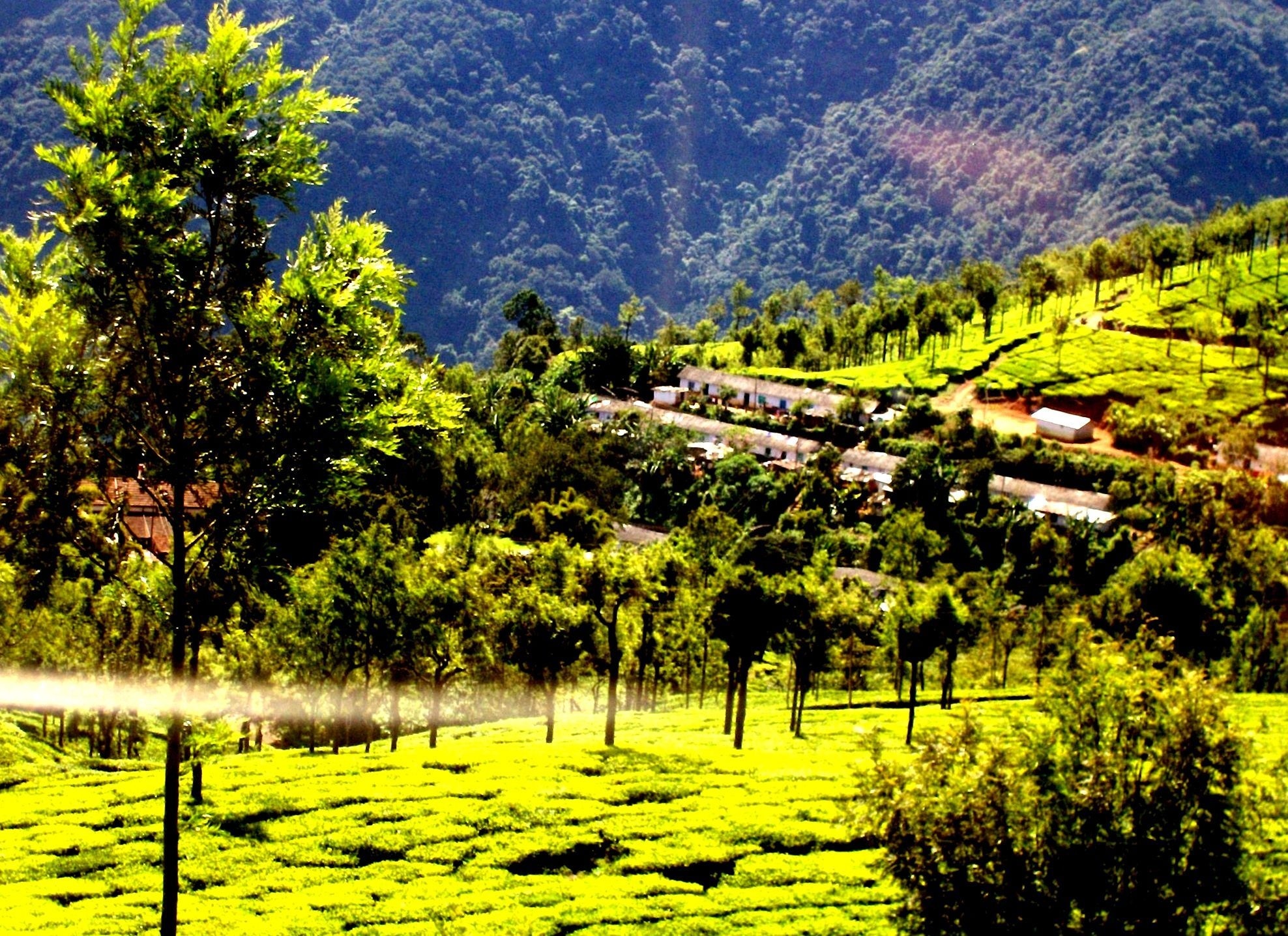 coonoor tourist places list with images